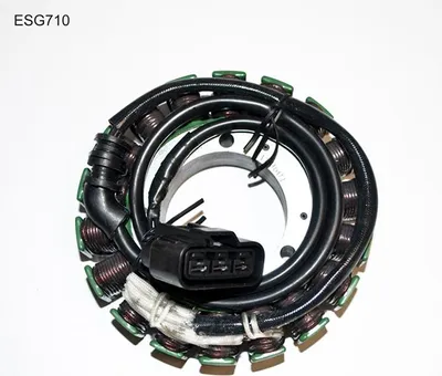 Zdjęcie produktu dla Elektrosport Uzwojenie Alternatora (Stojan) Triumph Rocket Iii (05-10)