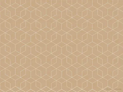 Produktbild von 1000 Papier-Tischsets 30 x 40 cm Woven Ecoecho