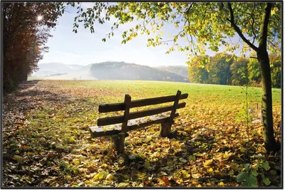 Produktbild von Wallario Wandbild Idyllische Holzbank in den Bergen, Größe: 61 x 91,50 cm, Poster mit schwarzem Aluminiumrahmen