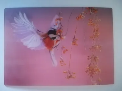 Produktbild von 3 D Ansichtskarte Buntmeise, Postkarte Wackelkarte Hologrammkarte, Tier Vogel Vögel