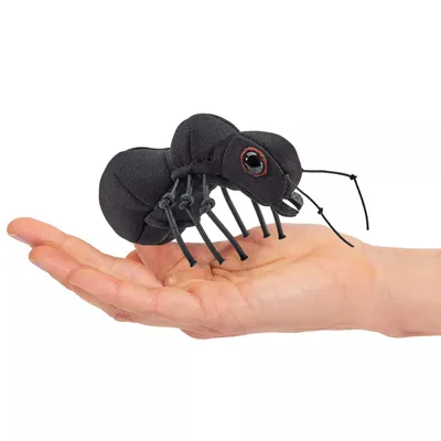 Produktbild von Folkmanis Mini Ameise