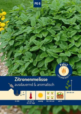 Artikelbild 1 von 'Zitronenmelisse Mehrjährig' aus der Kategorie Melissensamen