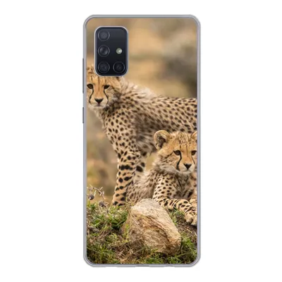 Produktbild von MuchoWow® Handyhülle Schutzhülle Hülle für Samsung Galaxy A71 Leopard - Jungtier - Natur Silikon Softcase Handy Hülle - Kartenbesitzer