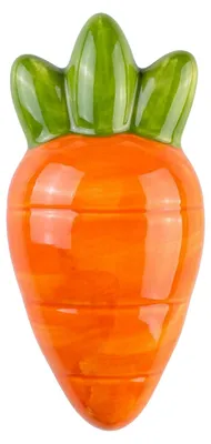 Immagine prodotto di Carota Appendino Arancione