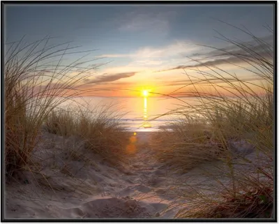 Produktbild von Wallario Wandbild Sonnenuntergang am Strand, Größe: 40,30 x 50,30 cm, Poster mit schwarzem Aluminiumrahmen