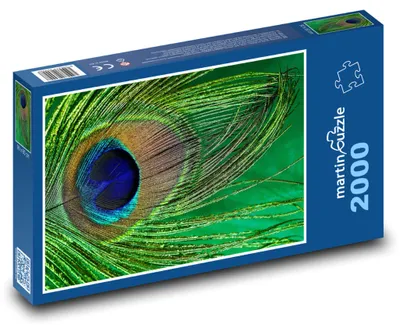 Produktbild von Puzzle 2000 Pfauenfeder - Pfau, Vogel - martinpuzzle