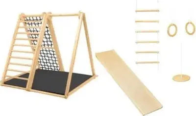 Image de Zebra Black home playground - sport