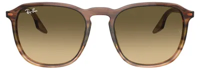 Immagine prodotto di Occhiali da sole Ray-Ban modello RB 0RB2203, codice colore 13920A