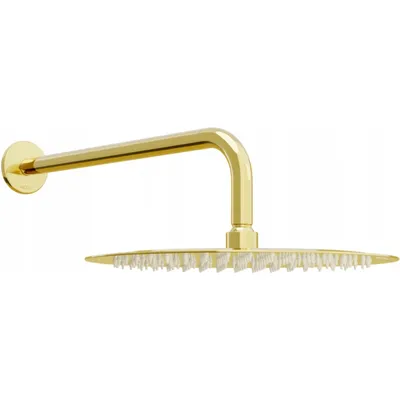 Image de Tête de douche Slim - Rain, Gold (79230211-50)