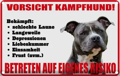 Produktbild von vianmo Blechschild 12x18 cm Hund Vorsicht Kampfhund Risiko Tier Haustier