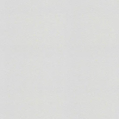 Produktbild von A.S. Création Vliestapete Meistervlies Pro Protect 2, weiss, überstreichbar, 25,00 m x 1,06 m, 577610, 5776-10