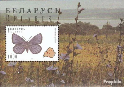 Produktbild von Briefmarken Weißrussland 1996 Mi Block8 (kompl.Ausg.) postfrisch Schmetterlinge