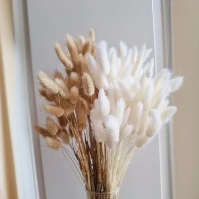 Image de 120 tiges de graminées de pampa séchées pour la décoration