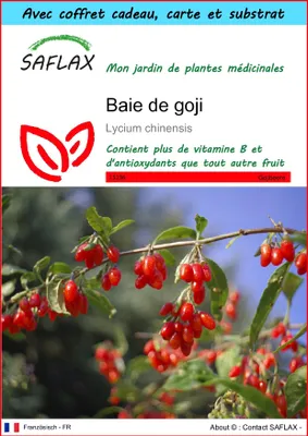 Image de SAFLAX Ensemble-cadeau - Baie de goji - 200 graines - Lycium