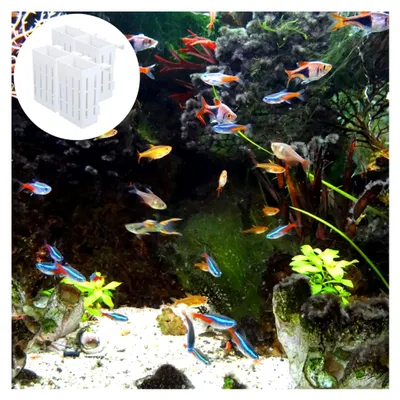 Produktbild von Aquarienpflanzentöpfe 4 Stück Kunststoff mit Haken für hängende Pflanzen im Aquarium
