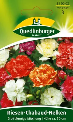 Produktbild von Chabaudnelke Riesen Mischung | Nelkensamen von Quedlinburger