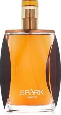 Image de Liz Claiborne Spark for Men EDC 100 ml M