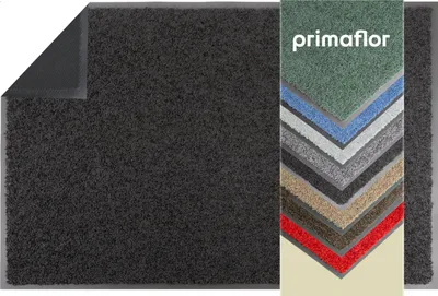 Produktbild von Schmutzfangmatte ZANZI 40x60cm Schwarz robuste Türmatte aus Recyclingmaterial, Größen
