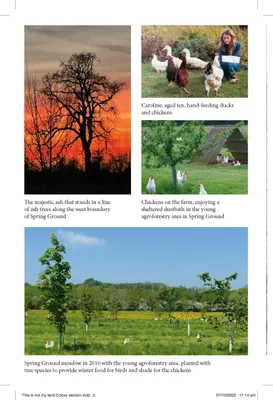 Produktbild von This is not my land