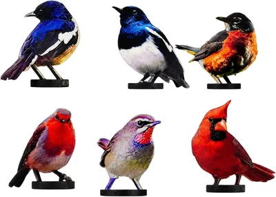 Imagen del producto de Esculturas de pájaros metálicos, 6 unidades, de colores, resistentes a la intemperie, en 2D, para jardín y terraza