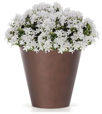 Produktbild von Prosperplast Blumentopf - Kunststoff - Bronze - D20 x 19 cm