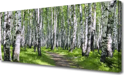 Produktbild von Tulup Leinwand-Bilder 125x50 Wandbild Canvas Kunstdruck Wald Fußpfad Natur