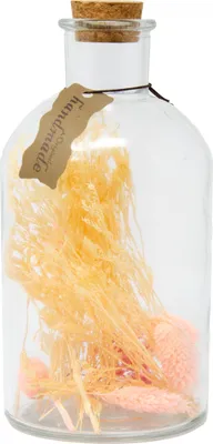 Produktbild von Trockenblumen in Flasche mit Korkverschluss Apricot 20 x Ø 10 cm