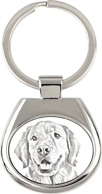 Obrázek produktu pro Art-Dog Přívěsek na klíče – Zlatý retrívr