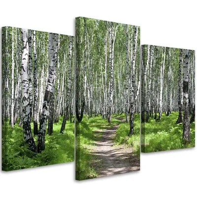 Produktbild von Triptychon auf leinwand birkenwald 60x40 cm Feeby grün wandbild bereit zum aufhängen