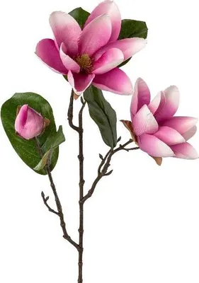 Produktbild von artplants.de Künstlicher Zweig Magnolie PLORNE, pink, 70cm - Kunst Magnolienzweig