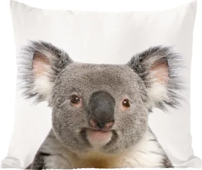 Produktbild von MuchoWow® Zierkissen Sofakissen Wohnzimmer Dekokissen 50x50 cm Tiere - Koala - Weiß - Komfort - Sofakissen