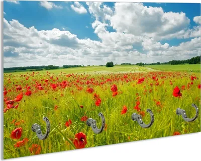 Produktbild von Wallario Schlüsselbrett aus Glas, Motiv: Grüne Wiese mit Mohnblumen, 30 x 20 cm mit 4 Haken