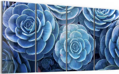 Produktbild von DEQORI Glasbild Echtglas 4x30x60 cm 'Blaue Sukkulentenpracht' Wandbilder XXL groß