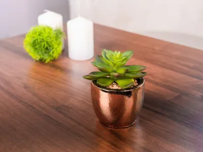 Zdjęcie produktu dla Sukulent MagicHome S34040, 12 cm, doniczka - cement, złoty, sztuczny