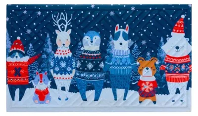 Obrázok produktu pre Ruhhy 26636 Vstupní rohožka se svátečním motivem 75 x 45 cm, modrá