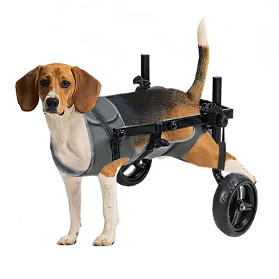 Imagen del producto de Silla de ruedas plegable ajustable para mascotas