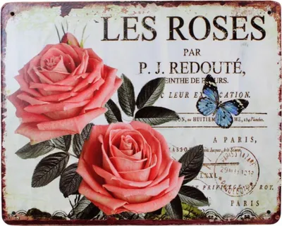 Immagine prodotto di Un'insegna di metallo a brandelli di Les Roses