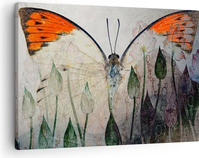 Produktbild von Bild auf Leinwand - Leinwandbild - Schmetterling Abstraktion - 70x50cm - Wand Bild - Wanddeko - Leinwanddruck - Bilder - Kunstdruck - Wanddekoration - Leinwand bilder - Wandkunst - AA70x50-4081
