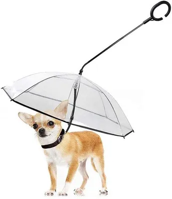 Image de Unyqoos® : Parasol réglable pour chien avec poignée en C – Protection contre la pluie et la neige pour les chiens de petite et moyenne taille, réglable en hauteur, laisse de 33 à 53 cm