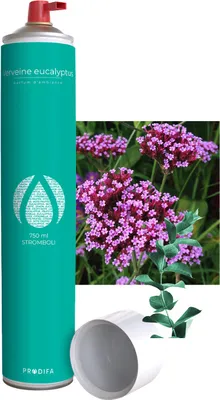 Produktbild von Prodifa Stromboli kräftige 750ml Raumspray in 5 Duftnoten, Düfte:Verveine Eucalyptus