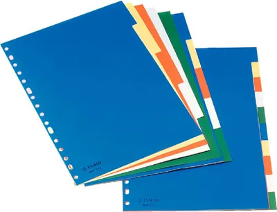 Immagine prodotto di Raccoglitore in polipropilene con 10 scomparti, formato A4, colori chiari, Eselte 11710