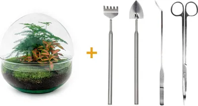 Immagine prodotto di Urbanjngl Bottiglia da giardino rossa (rastrello, pala, pinzetta, forbici) - 20 cm