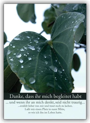 Produktbild von 4x Würdevolle Trauer Dankeskarte: Danke, dass ihr mich begleitet habt