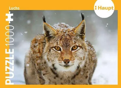 Produktbild von Herausforderndes Puzzle für Erwachsene mit Luchs Motiv, 1000 Teile, 68 x 48 cm