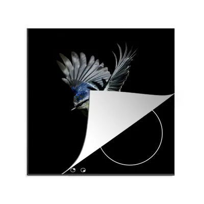 Produktbild von KitchenYeah© Herdabdeckplatte Blaumeise - Vogel - Schwarz , 78x78cm, Küche Deko, Glaskeramikkochfeld Herdabdeckung, Abdeckplatte fùr Kochfeld