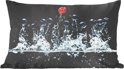 Produktbild von MuchoWow® Zierkissen Sofakissen Wohnzimmer Dekokissen 50x30 cm Beeren - Wasser - Schwarz - Obst - Himbeere - Wohnzimmerdekoration - Polster mit Photo