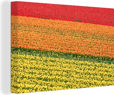 Produktbild von OneMillionCanvasses® - Leinwandbilder - 140x90 cm, Tulpenfelder auf dem Keukenhof in den Niederlanden, Wandbilder Kunstdruck Wanddekoration