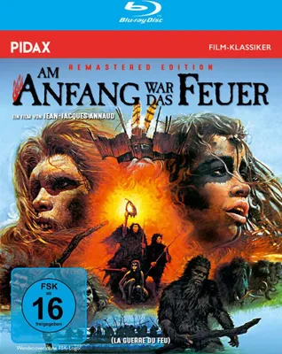 Produktbild von Am Anfang war das Feuer