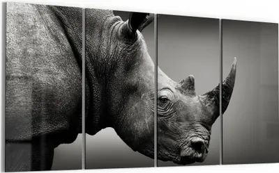 Produktbild von DEQORI Glasbild Echtglas 4x30x60 cm 'Nashorn im Profil' Wandbilder XXL groß