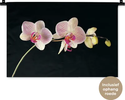 Produktbild von MuchoWow® Wandteppich Wandbehang Orchidee - Blumen - Schwarz - Rosa - Knöpfe 60x40 cm Tapisserie Dekoration Wandtuch - Wanddekorationen